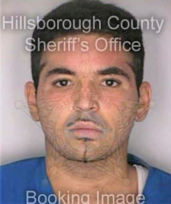 Deltoro Michael - Hillsborough County, FL 