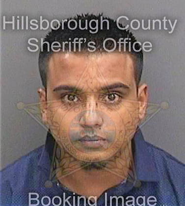 Botre Akhil - Hillsborough County, FL 