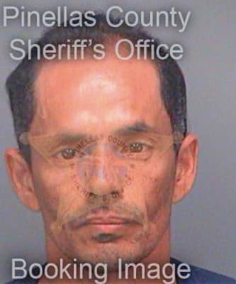 Montanezhernandez Raul - Pinellas County, FL 