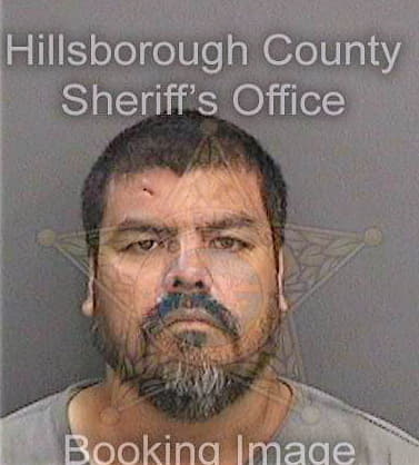 Conde Inez - Hillsborough County, FL 