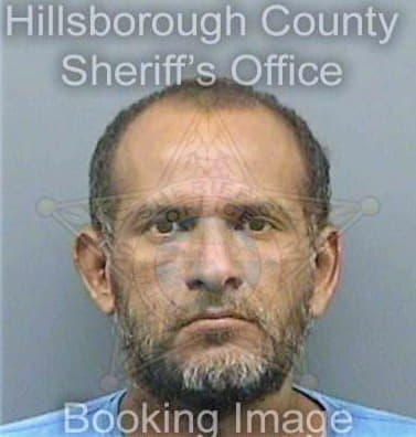 Davila Jesus - Hillsborough County, FL 