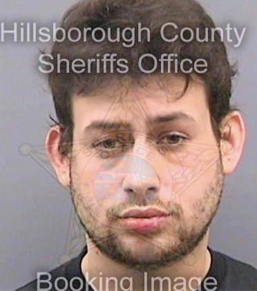 Simon Max - Hillsborough County, FL 