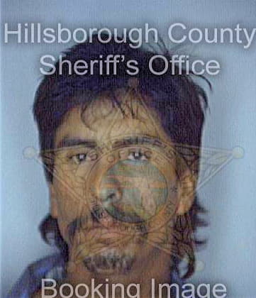 Gonzalez Armando - Hillsborough County, FL 