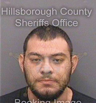 Deleon Daniel - Hillsborough County, FL 