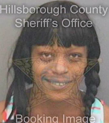 Nicholson Tracee - Hillsborough County, FL 