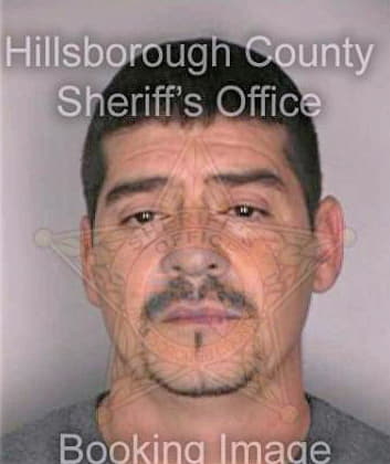 Torres Wilfredo - Hillsborough County, FL 