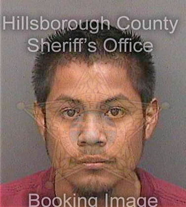 Torresvasquez Oscar - Hillsborough County, FL 