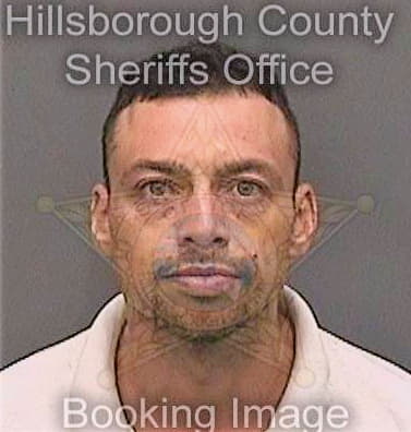 Cazaz Alexander - Hillsborough County, FL 