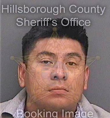 Mendoza Ricardo - Hillsborough County, FL 