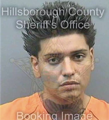 Borjaarias Frank - Hillsborough County, FL 