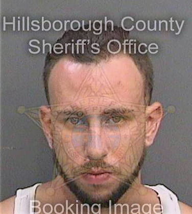 Defranco Anthony - Hillsborough County, FL 