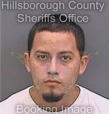 Garcia Carlos - Hillsborough County, FL 