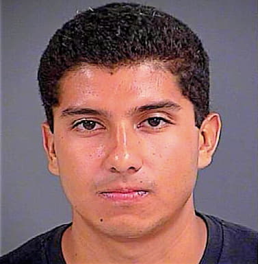 Villagomez Alvaro - Charleston County, SC 