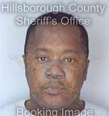 Boyer Alvin - Hillsborough County, FL 