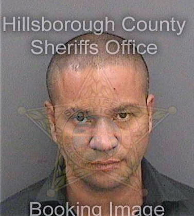 Nunesdaponte David - Hillsborough County, FL 