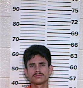 Garcia Carlos - Hidalgo County, TX 