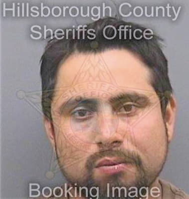 Sanchez Rosendo - Hillsborough County, FL 