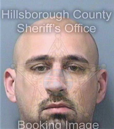 Brisson Paul - Hillsborough County, FL 