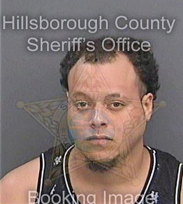 Soto Sergio - Hillsborough County, FL 