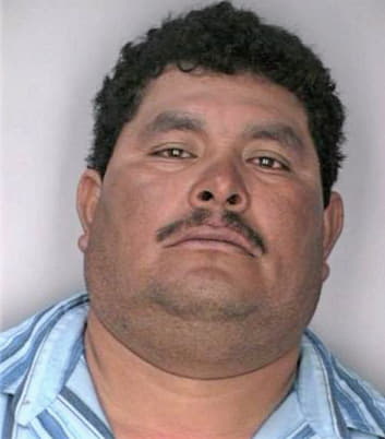 Mendes Luis - Hillsborough County, FL 