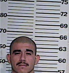 Hernandez Gregory - Hidalgo County, TX 