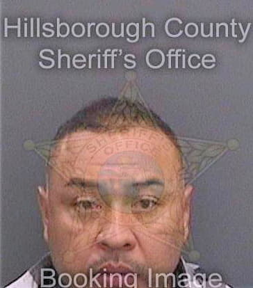Mejia Ricardo - Hillsborough County, FL 