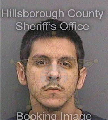 Delgado Mario - Hillsborough County, FL 