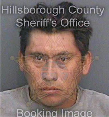 Baltazar Jose - Hillsborough County, FL 