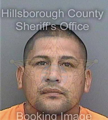 Santana Esteban - Hillsborough County, FL 