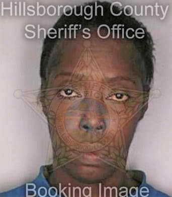 Smith Deborah - Hillsborough County, FL 