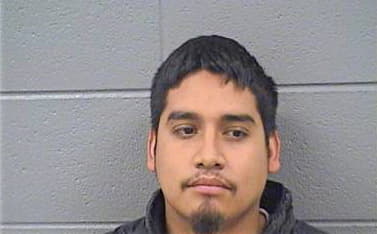 Diaz Enrique - Cook County, IL 