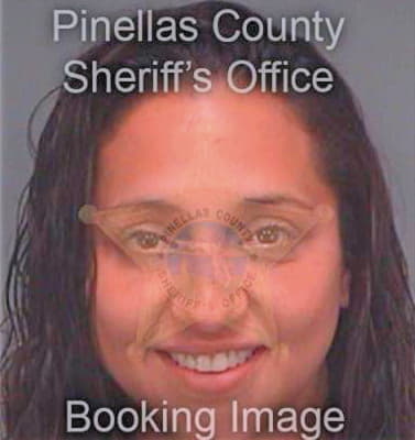 Vanpoznak Brianne - Pinellas County, FL 