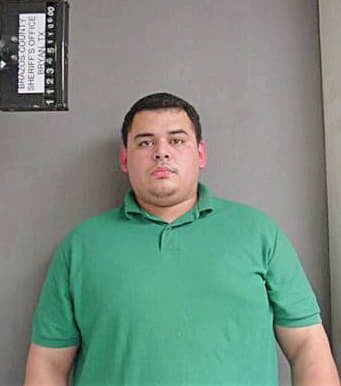 Hernandez John - Brazos County, TX 