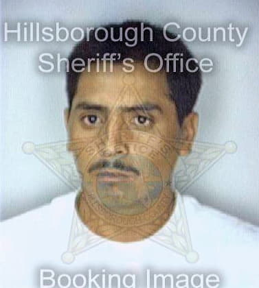 Toresgarcia Jose - Hillsborough County, FL 