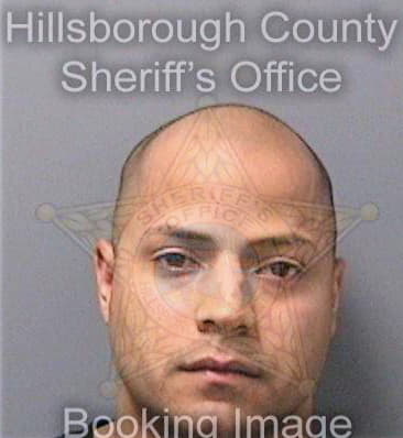 Lugo Saulo - Hillsborough County, FL 