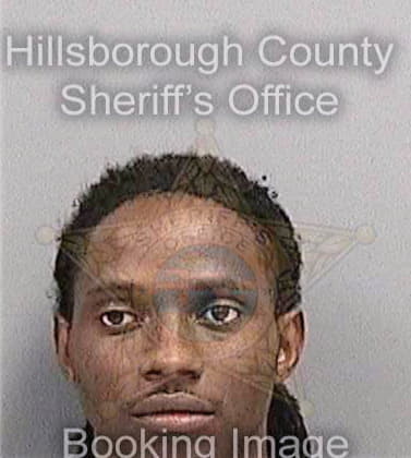 Mckinney Damian - Hillsborough County, FL 