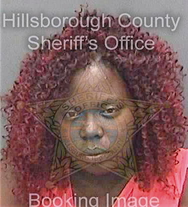 Brimmer Devorah - Hillsborough County, FL 