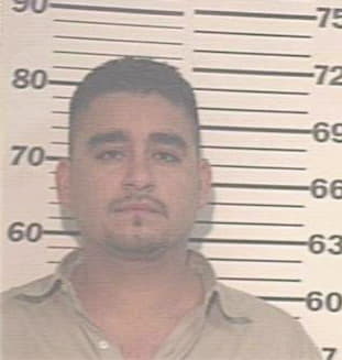 Guajardo Hector - Hidalgo County, TX 