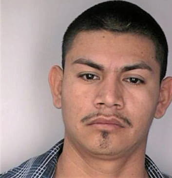 Mendez Nathanel - Hillsborough County, FL 