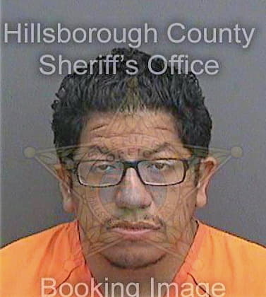 Bravo Allan - Hillsborough County, FL 