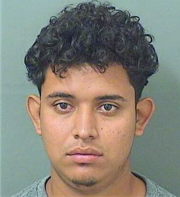 Hernandezflores Dilber - PalmBeach County, FL 