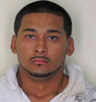 Mejia Raul - Hillsborough County, FL 