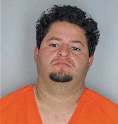 Meza David - Hillsborough County, FL 