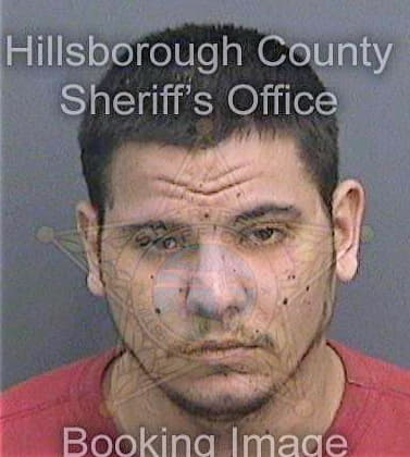 Serrano Ismael - Hillsborough County, FL 