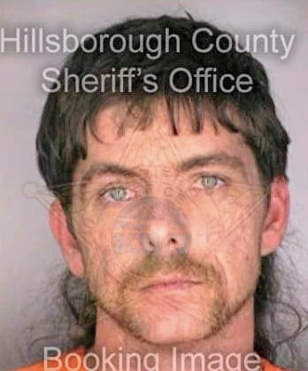 Mendik Michael - Hillsborough County, FL 
