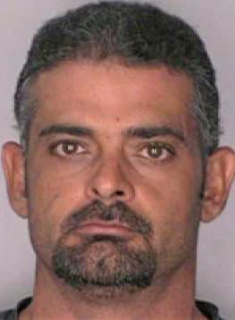 Gonzalez Rene - Hillsborough County, FL 