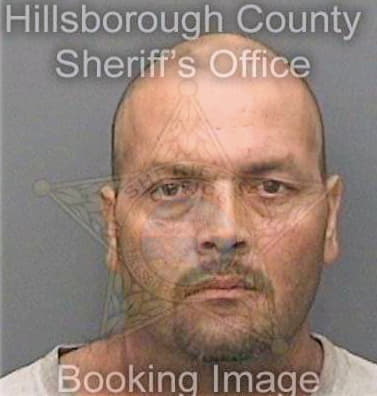 Manriquez Simeon - Hillsborough County, FL 