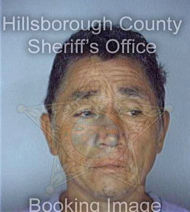 Molina Genaro - Hillsborough County, FL 