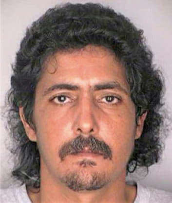 Guzmangonzalez Carlos - Hillsborough County, FL 