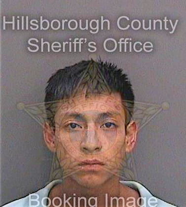 Navarroperez Jose - Hillsborough County, FL 